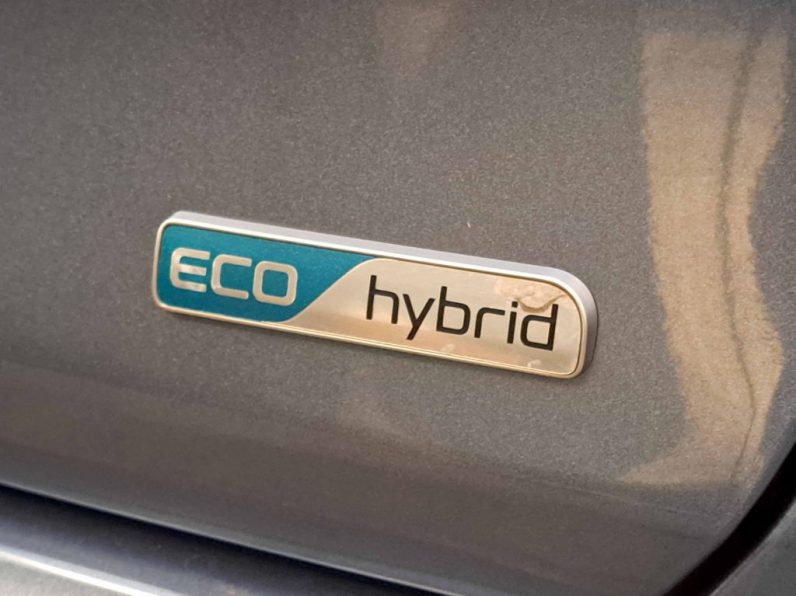 KIA NIRO 1.6 GDI HEV DRIVE completo